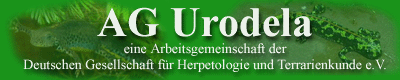 AG_Urodela