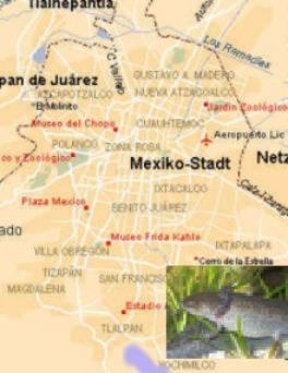 Landkarte_Mexiko_Stadt