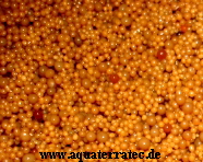a_Bodengrund_Caviar_dark