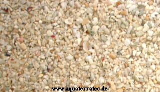 a_Korallensand_2mm